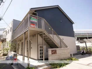 ジプソフィラの画像