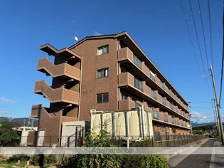 アコール ヴィラIIの画像
