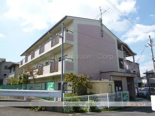 セラー野村の画像