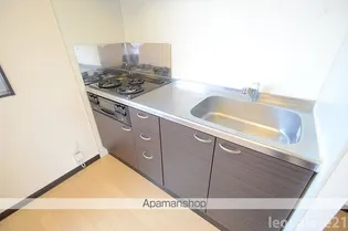 レオネクストエスポワール愛戸【103号室】のキッチン