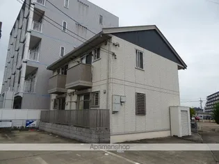 モーリ Cの画像