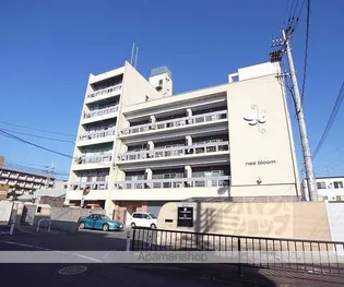 ネオ ブルームの画像