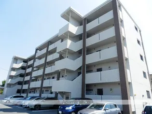 エクセルシアの画像