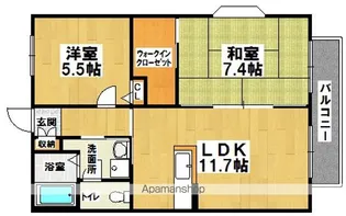 シャトレグランメール【2階】の間取り