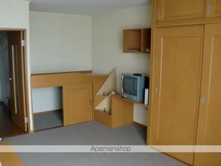 レオパレス2001TANEMOTO【202号室】の居間