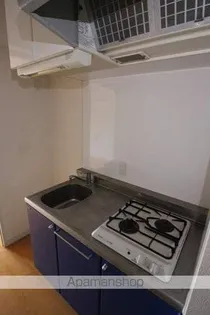 サヴォイザ・リバーテラス【4階】のキッチン