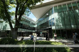 クインテット原宿【3階】の周辺