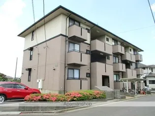 サバーブトリプルの画像