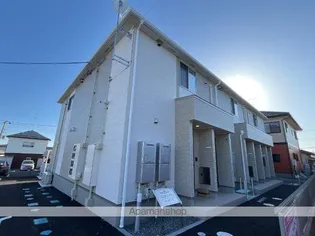 パステルリリィの画像