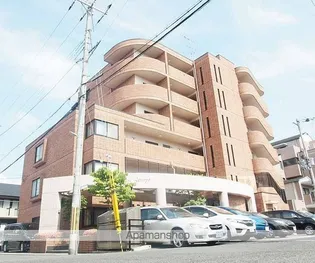 エクセル清涼の画像