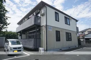 エバーグリーンの画像