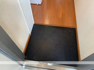 レオパレスプロスペリテA【201号室】の玄関