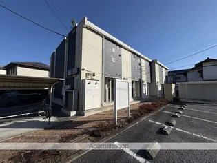 レオネクスト紫石の画像