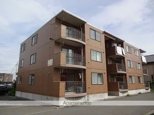 セルジェ 花沢の画像