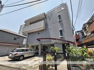 パインハイツ【2階】の外観