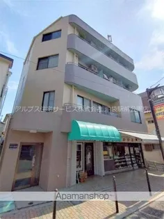 ステラ星野の画像