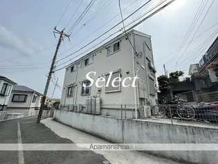 グレースVIIIの画像