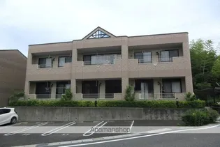 陶乃杜 Aの画像