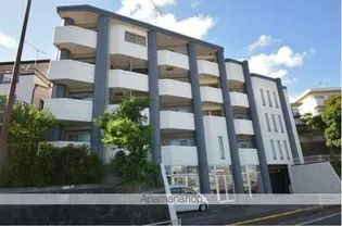 WOODBELL QUATTROの画像