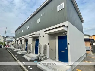 マルベリーの画像