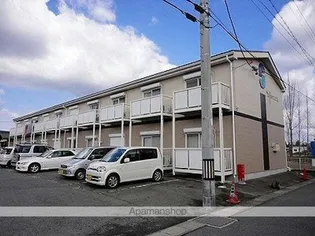 SURPLUS ONEゆとりの画像