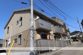 シャルマンの画像