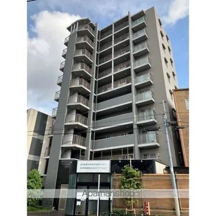 エクセルシアの画像