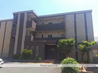 カッシーニの画像