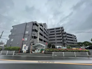 シャトルグランディの画像