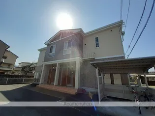 マンダリーナT 2 Cの画像