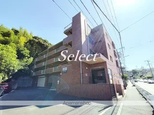エヌケイパレスの画像