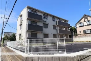シャロットの画像