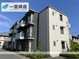 ユキコート椿の画像