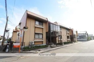 パレーシャル矢木NO 1の画像