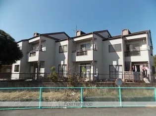 シャイン橋本の画像