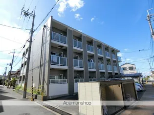 エクセレント秋桜の画像