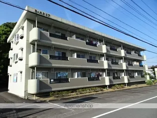 ウィステリアの画像