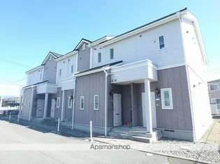 モルティ カミジマの画像