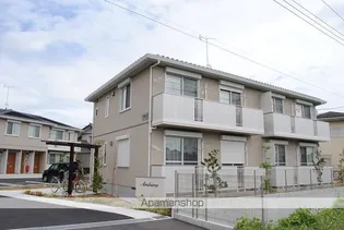 アンビエラの画像