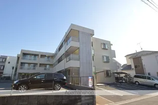 エバーグリーンの画像