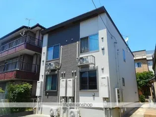 サイプレスの画像