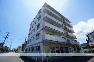 アネシス99の画像