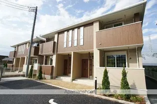 プリムローズAの画像