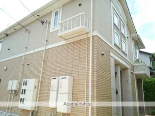 ニュー バレーの画像