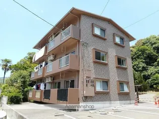 ハイネスぶどうの木の画像