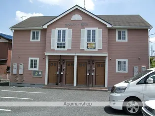 カメリア酒井の画像