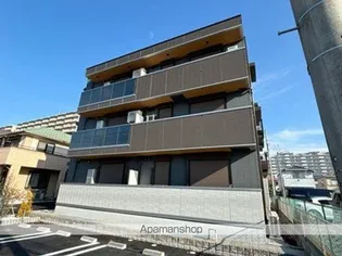 アゼリアの画像
