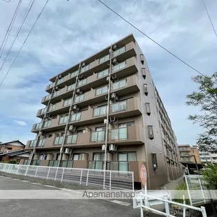 APEX FLAT Rの画像