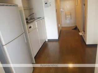 アネックス紅葉【11階】の内装