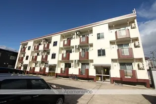 シャガール千富の画像